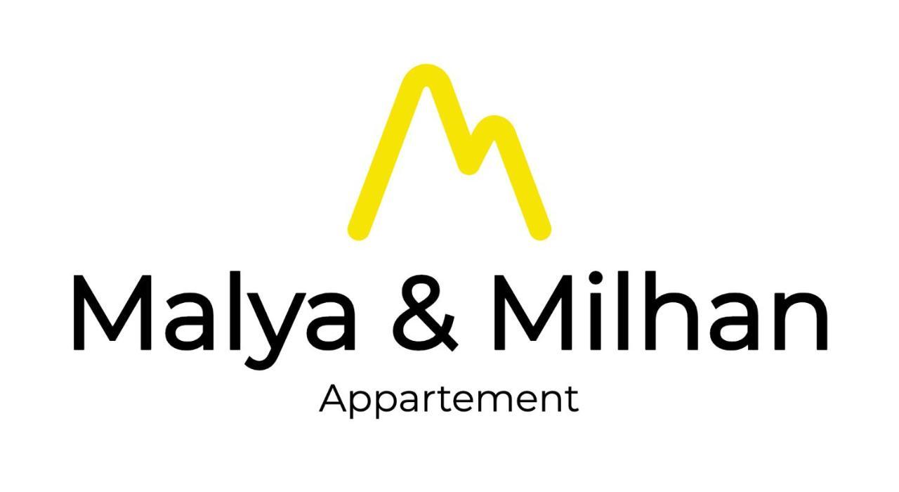 Appartement Malya & Parking Prive Гренобль Экстерьер фото